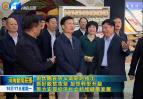 河南省委書記謝伏瞻蒞臨華德調研